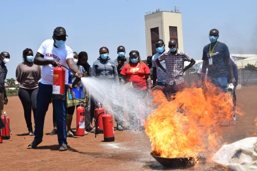 Training & Consultancy